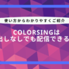 colorsing 顔出しなし